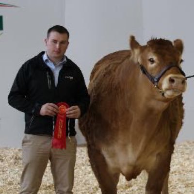 Profile Picture of John Maher (@JonMaher212) on Twitter