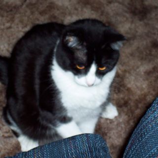 Profile Picture of Bailey Corbett (@Bailey-Corbett) on Facebook