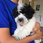 Profile Picture of Zachary Howes (@zth2004) on Instagram