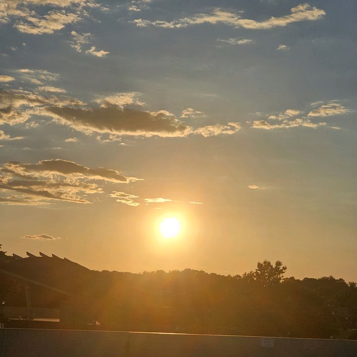 Profile Picture of Ťÿ✝️🦌🦆 (@tylerbyrd208) on Tiktok