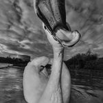 Profile Picture of Jeremiah McConnaughey (@jeremiahmcconnaughey) on Instagram