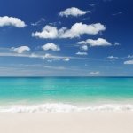Profile Picture of Thania / Robert Vernon (@miamiwaterfrontproperties) on Instagram
