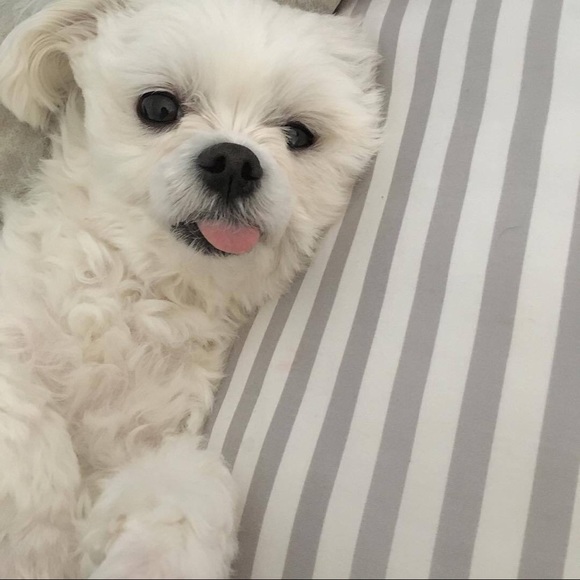 Olivia Sheridan - Poshmark Profile Picture of Olivia Sheridan (@ols1022) on Poshmark