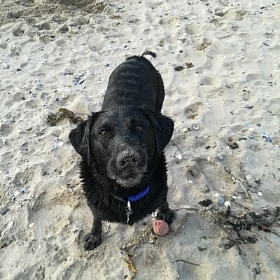 Profile Picture of Daz (@darren_wray) on Twitter