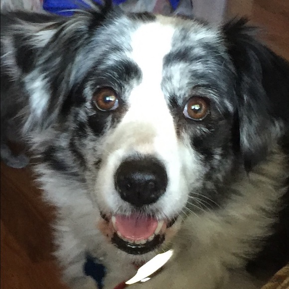 Profile Picture of Dawn Maddison (@dmadds5678) on Poshmark