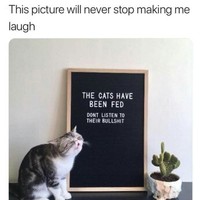 Profile Picture of Samantha Korb (@samantha-korb) on Quora