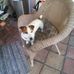Profile Picture of Bill Trobaugh (@bill.trobaugh.9) on Facebook