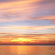 Profile Picture of Wade Bunting (@wadebunting4203) on Youtube