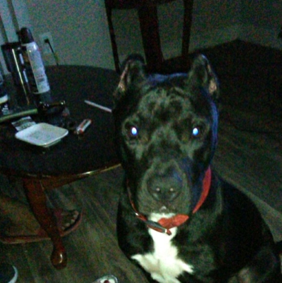 Profile Picture of Michelle Cavazos (@chell409) on Poshmark