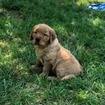 Profile Picture of Gaius Julius Caesar Jones (@gaiusjuliuscaesarjones) on Instagram