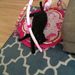 Profile Picture of Janet Silberman (@Jtsilberman) on Pinterest