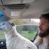 Profile Picture of Grant Pearson (@@grantp8010) on Tiktok
