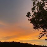 Profile Picture of Gary Robbins (@garyrobbins59) on Instagram