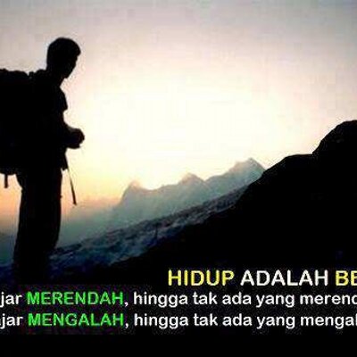 Profile Picture of ROY ADAMS  :) (@adam_roy13) on Twitter