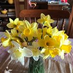 Profile Picture of Deborah Springer McCaleb (@deborahspringermccaleb) on Instagram