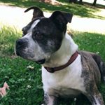 Profile Picture of daveion123fryerson (@daveion123fryerson) on Instagram