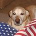 Profile Picture of Search instead for Randy Gregor (@Randy-Gregor) on Facebook