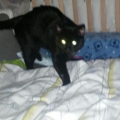 Profile Picture of Jason Hausmann (@hausmann_jason) on Twitter