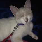 Profile Picture of Paula Berman _23 (@pauu_berman) on Instagram