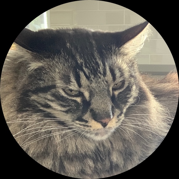 Profile Picture of Jo Rose (@joroimhere) on Poshmark