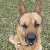 Profile Picture of Carrie Romero (@carrie-romero-9) on Quora