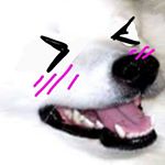 Profile Picture of David Pappas (@squiddy_p) on Instagram