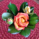 Profile Picture of Yolanda Pilecki (@ahead60) on Instagram