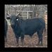 Profile Picture of Jeffrey Heflin (@jeffrey.heflin.50) on Facebook