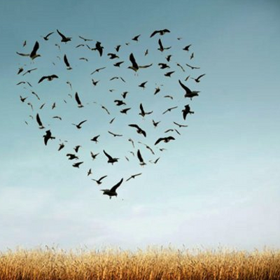 Profile Picture of Ginger (@GingerSwansonCA) on Twitter