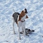 Profile Picture of Stephen Wessel (@wesselstephen) on Instagram