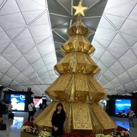 Profile Picture of Sandar Soe (@sandar-soe-12) on Quora