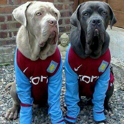 Profile Picture of Mark Shadbolt (@mmgv82) on Twitter