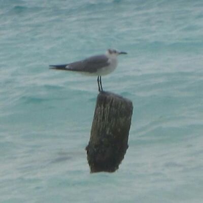 Profile Picture of Daniel Stange (@danielcstange) on Twitter