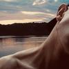 Profile Picture of Andrew Donovan (@andrewtylerr) on Tiktok