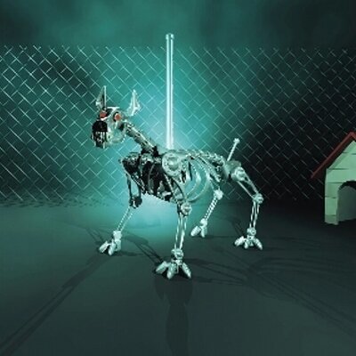 Francois Visser - Twitter Profile Picture of Francois Visser (@FrancoisVisser2) on Twitter