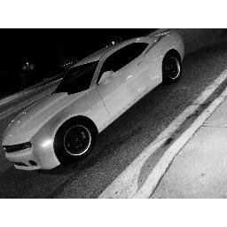 Profile Picture of David Ricard (@polodontay) on Twitter