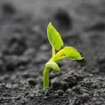 Profile Picture of Helga Gwyneth (@Helga-Gwyneth) on Facebook