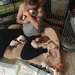Profile Picture of Kelly Walling (@kelly.walling.5) on Instagram