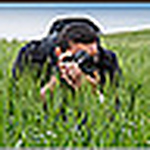 Profile Picture of daniel criado fuentes (@dacrifuen) on Flickr