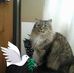 Profile Picture of Terry Keogh (@terry.keogh.752) on Facebook