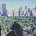 Elliot Gordon - Instagram Profile Picture of Elliot Gordon (@elliot_city_kitty) on Instagram