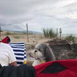 Profile Picture of Joanne Hamrick (@jodozeh) on Instagram