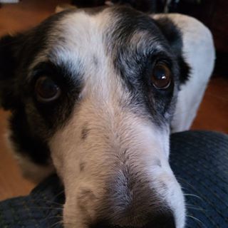 Profile Picture of Denise Heaps (@denise.heaps.90) on Facebook