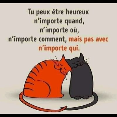 Profile Picture of Fabienne Joseph (@FabienneJosep19) on Twitter