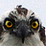 Profile Picture of Luke Greer (@lrgreer) on Flickr