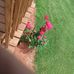 Profile Picture of Eugene Trent (@eugene.trent.357) on Facebook