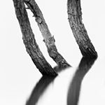 Profile Picture of Blake Feil (@magda_le_nspencer) on Instagram