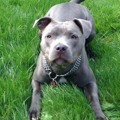 Profile Picture of Michaela Guy (@michaelaguy10) on Twitter