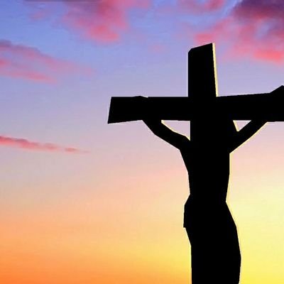 Profile Picture of LUCAS SOMMER (@LUCASSOMMER20) on Twitter