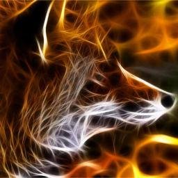 Profile Picture of Adam Vetter (@adamvetter44) on Twitter